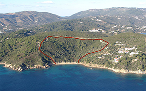 ξενοδοχεία, διαχείριση, δωμάτια, σουίτες, Ελλάδα, βίλες, καταλύματα, μάνατζμεντ, οργάνωση ξενοδοχείων, ξενοδοχεία, διαχείριση, δωμάτια, σουίτες, Ελλάδα, βίλες, καταλύματα, μάνατζμεντ, οργάνωση ξενοδοχείων, ξενοδοχεία, διαχείριση, δωμάτια, σουίτες, Ελλάδα, βίλες, καταλύματα, μάνατζμεντ, οργάνωση ξενοδοχείων, ξενοδοχεία, διαχείριση, δωμάτια, σουίτες, Ελλάδα, βίλες, καταλύματα, μάνατζμεντ, οργάνωση ξενοδοχείων, ξενοδοχεία, διαχείριση, δωμάτια, σουίτες, Ελλάδα, βίλες, καταλύματα, μάνατζμεντ, οργάνωση ξενοδοχείων,ξενοδοχεία, διαχείριση, δωμάτια, σουίτες, Ελλάδα, βίλες, καταλύματα, μάνατζμεντ, οργάνωση ξενοδοχείων, ξενοδοχεία, διαχείριση, δωμάτια, σουίτες, Ελλάδα, βίλες, καταλύματα, μάνατζμεντ, οργάνωση ξενοδοχείων, ξενοδοχεία, διαχείριση, δωμάτια, σουίτες, Ελλάδα, βίλες, καταλύματα, μάνατζμεντ, οργάνωση ξενοδοχείων, ξενοδοχεία, διαχείριση, δωμάτια, σουίτες, Ελλάδα, βίλες, καταλύματα, μάνατζμεντ, οργάνωση ξενοδοχείων, ξενοδοχεία, διαχείριση, δωμάτια, σουίτες, Ελλάδα, βίλες, καταλύματα, μάνατζμεντ, οργάνωση ξενοδοχείων